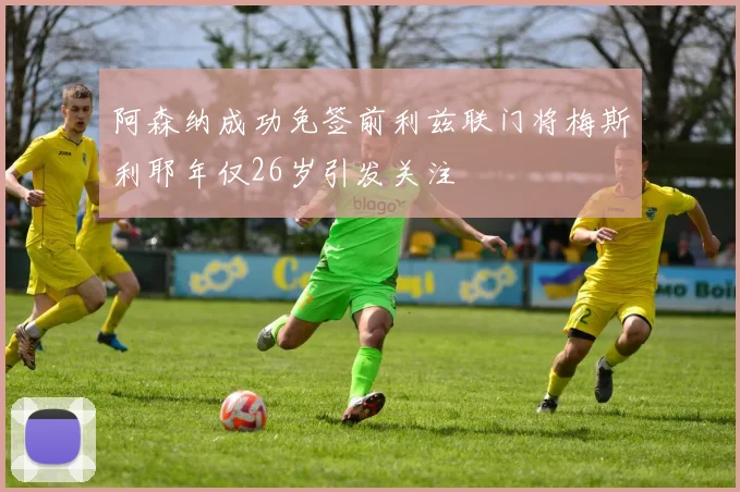 阿森纳成功免签前利兹联门将梅斯利耶年仅26岁引发关注
